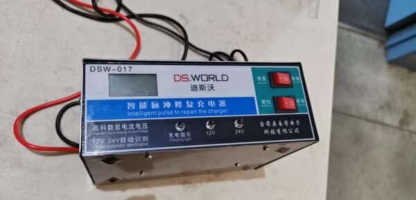 12v-24V Intelligent pluse charger - DSW-017